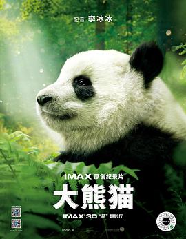 10年养死5只熊猫