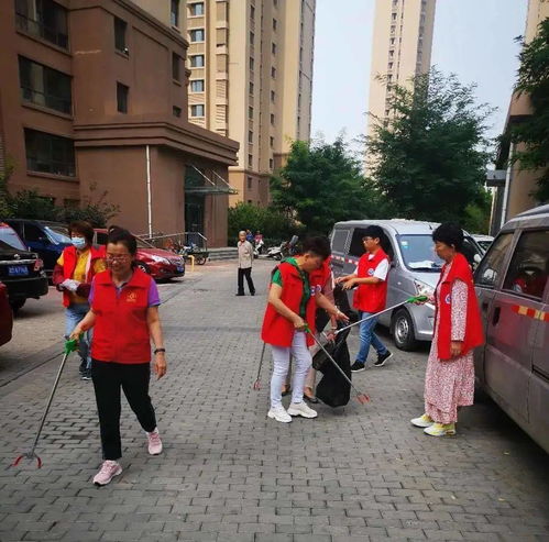 志愿中国登录