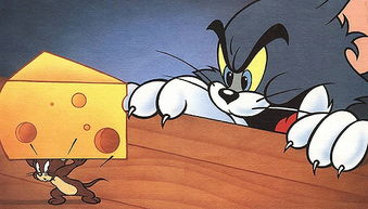 猫与老鼠动画片全集英文版