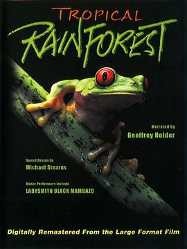热带雨林风暴电影免费观看
