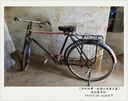 上海自行车