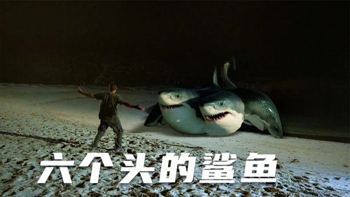 夺命二十九头鲨
