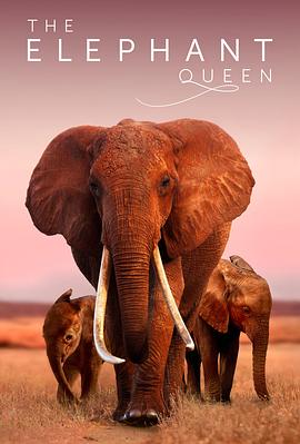 女王的大象